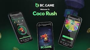 Understanding BC.Game Payments Options and Processes Understanding BC.Game Payments Options and Processes